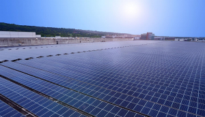 中美硅晶与世界杯官方网页版光电携手战略合作